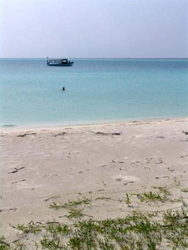 2004 Meedhupparu Malediven,_DSC03790 B_478